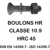 BOULONS SPECIAUX FORGÉE 